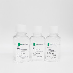 Auxin and Cytokinin kit | 200ml sterile stock