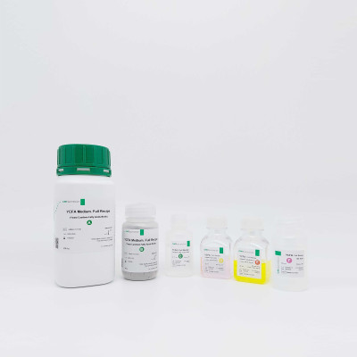 YCFA Medium, Full Recipe | For 12.7 L YCFA Medium, Full Recipe | For 12.7 L