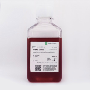 YPDS Liquid Medium ( Yeast Extract Peptone Dextrose Sorbitol) | 500mL